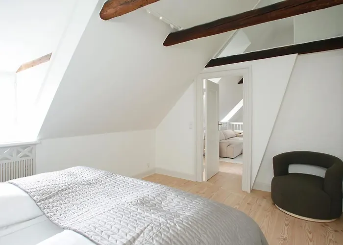 公寓 Modern 3br Duplex In Nyhavn W Private Balcony 哥本哈根
