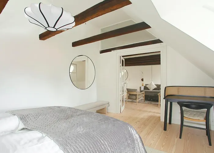 Modern 3br Duplex In Nyhavn W Private Balcony 公寓